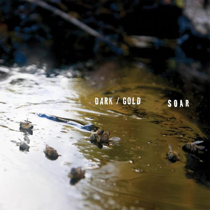 Dark/Gold