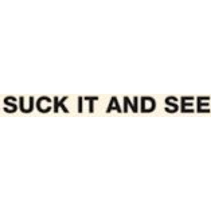 Suck It And See - Arctic Monkeys