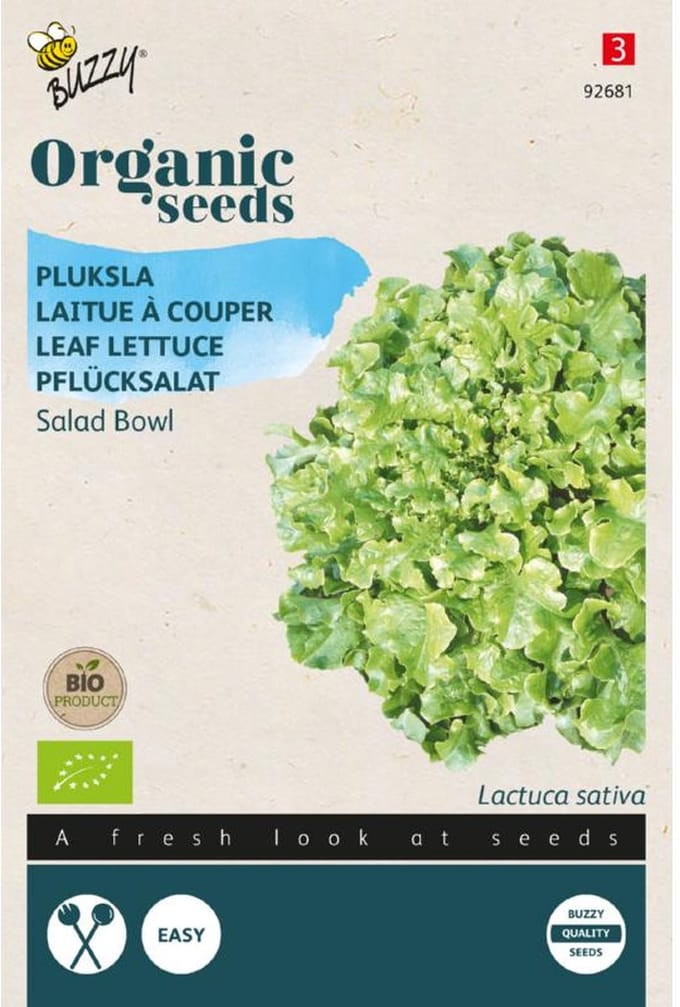 Buzzy  Seeds Bio Salad Bowl (Skal 14218 NL-BIO-01)