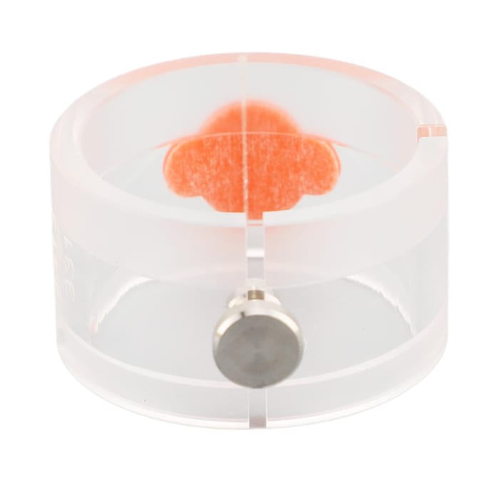 Plastic Horlogewerk Houder Werk Fixator Basis Professioneel Horlogewerk Reparatie Accessoire white