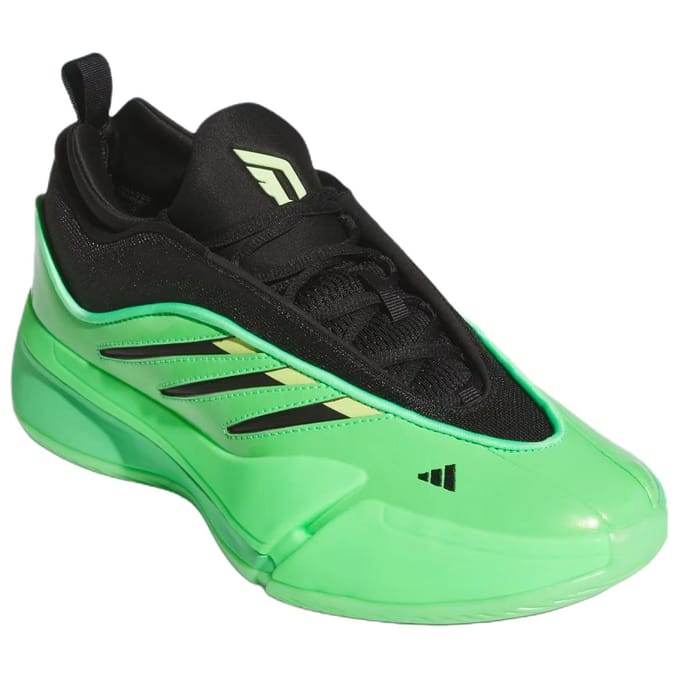 Basketbalschoenen adidas Dame 9
