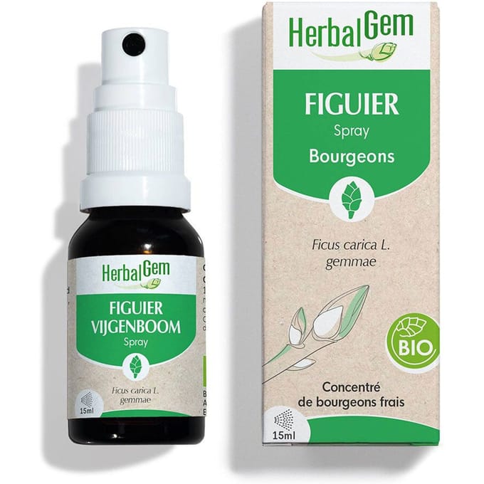 HerbalGem Vijgenboom Bio | Spijsvertering 15 Spray