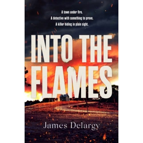 Into The Flames - James Delargy