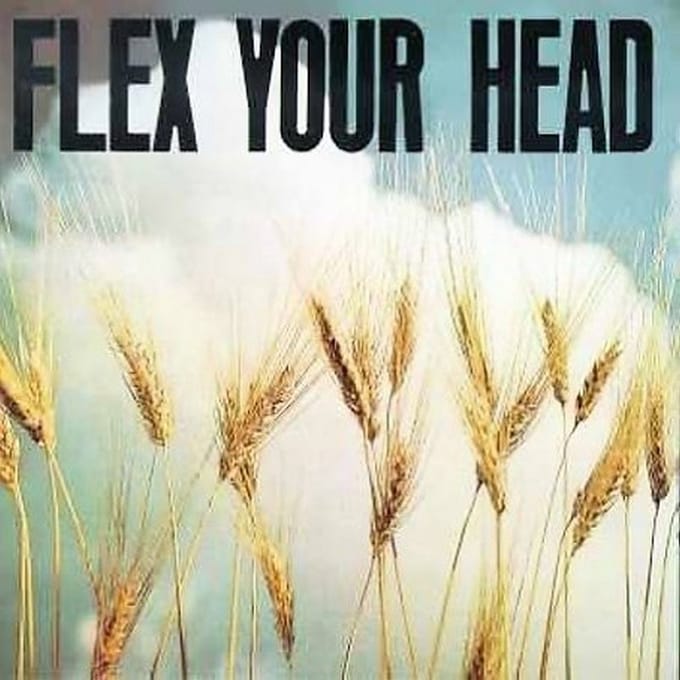 Various Artists - Flex Your Head (LP)