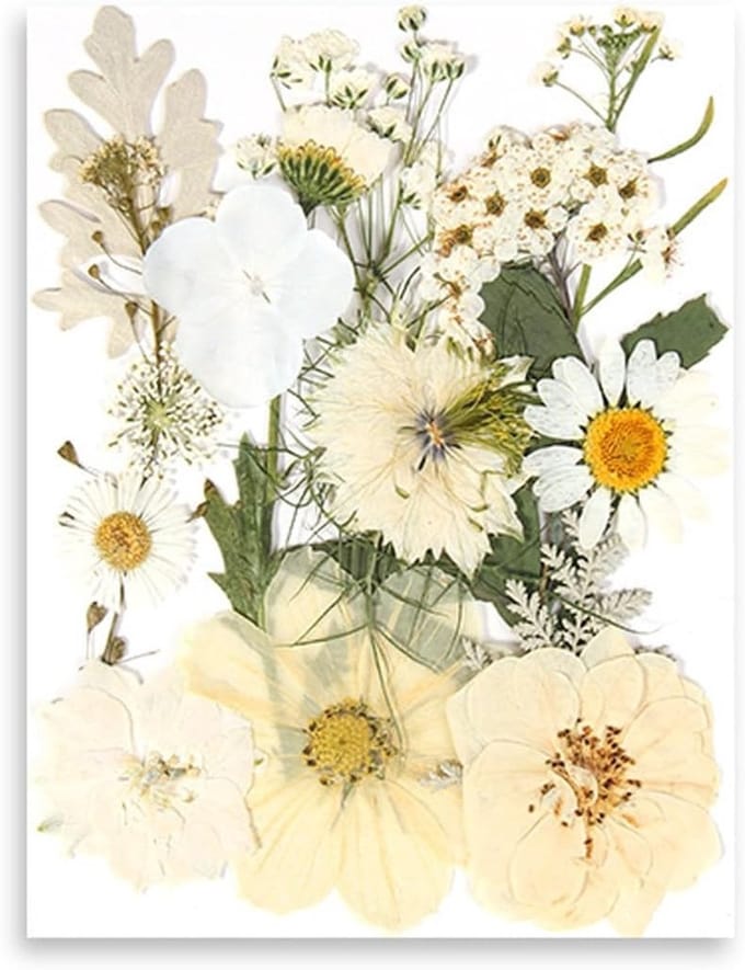 Natuurlijke Gedroogde Bloemen Set van 15 Stuks voor DIY Projecten