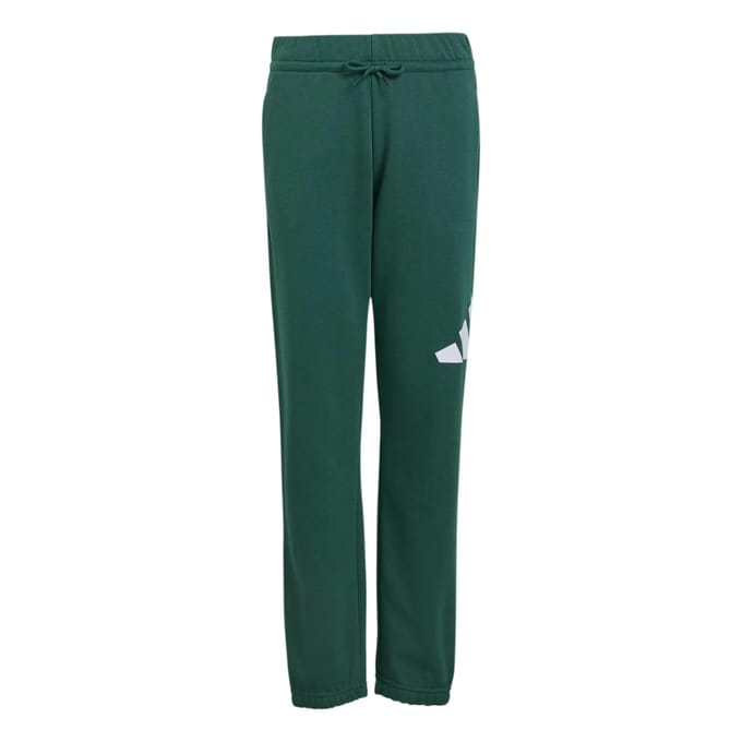 Adidas Essentials Big Logo French Terry Joggers Groen 9-10 Years Kinderen