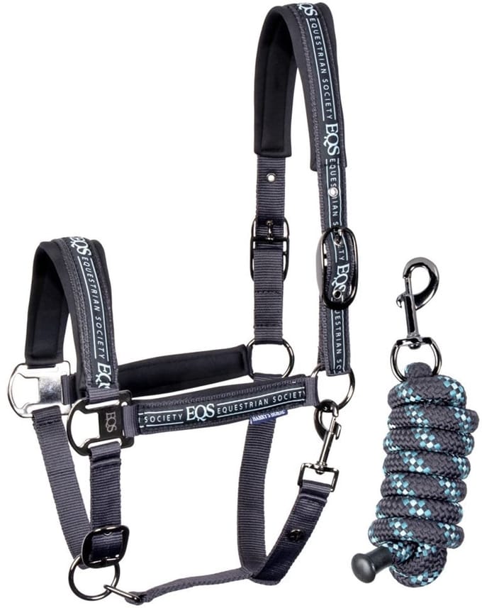 Harry's Horse - Halsterset Equestrian Society - Black Sand - Maat Pony