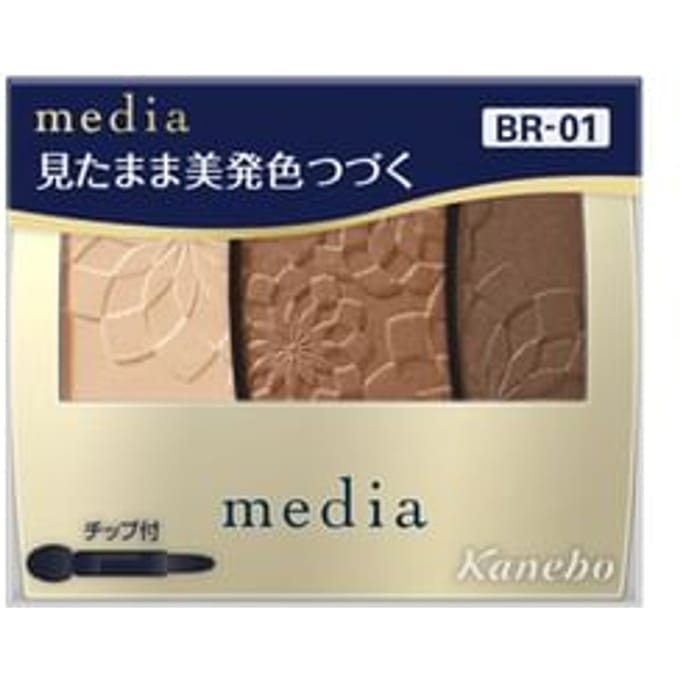Kanebo - Media Gradient Color Eyeshadow BR-01