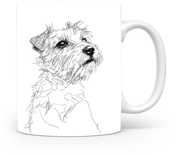 Beker Norfolk Terrier