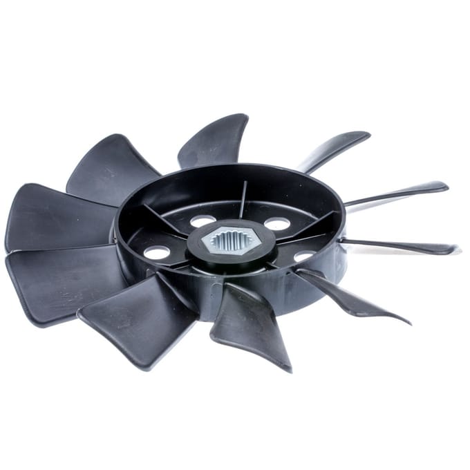 Fan
