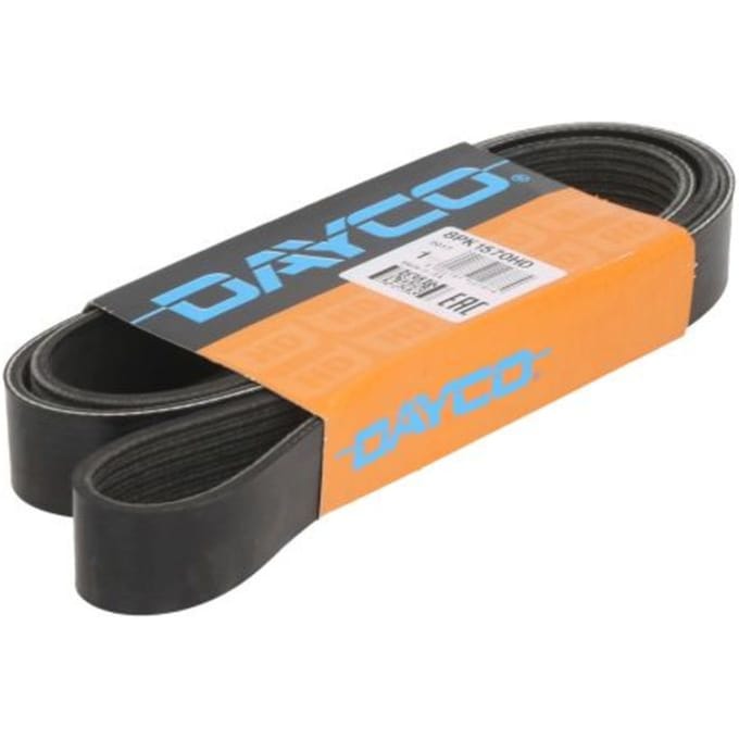 V-riem DAYCO 8PK1570HD