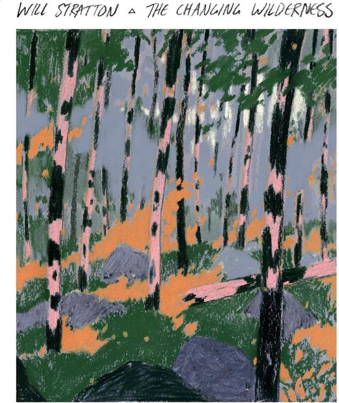 Will Stratton - The Changing Wilderness (CD)