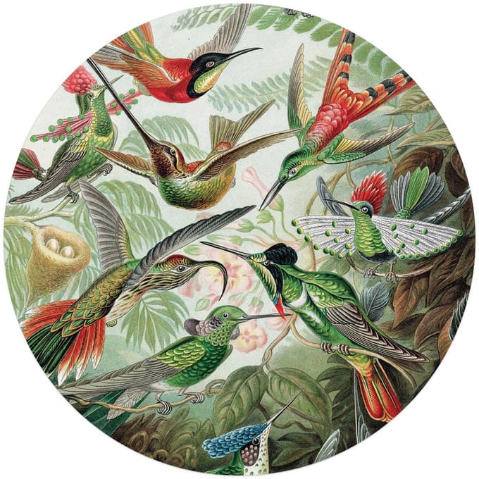 Plexiglasschilderij Hummingbirds - Ø 70 - Acrylglas - REINDERS
