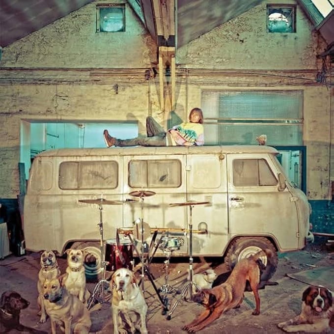 Use - Chien De La Casse (CD)