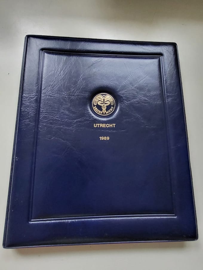 Muntset Nederland 1989 kwaliteit proof incl penning Flevoland