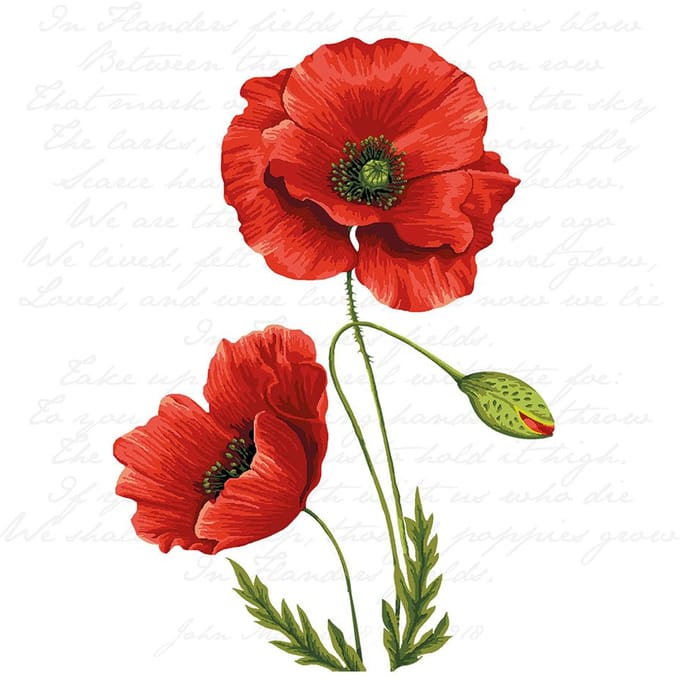 Ambiente Lunch Servetten - Proud Poppy