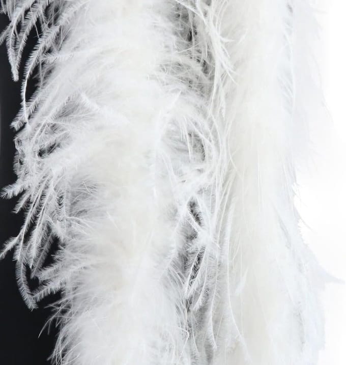 Fluffy Pluimen Sjaal van 2 meter, Perfect voor Charleston 1920s, Flapper Feest en Carnaval, Wit Accessoire