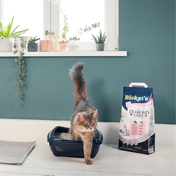 Biokat's Diamond Care - Classic - 2 x 8 Liter