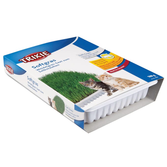 Voordeelpakket: 3x 100g Trixie Softgras Weidegrass-zaad om zelf te kweken voor katten