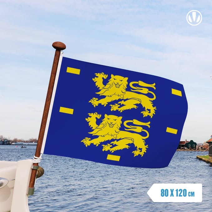 Vlag West-Friesland 80x120cm - spunpoly