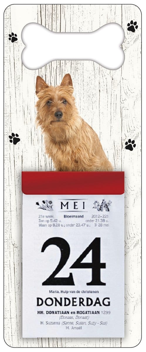Scheurkalender 2027 Hond: Australische Terier
