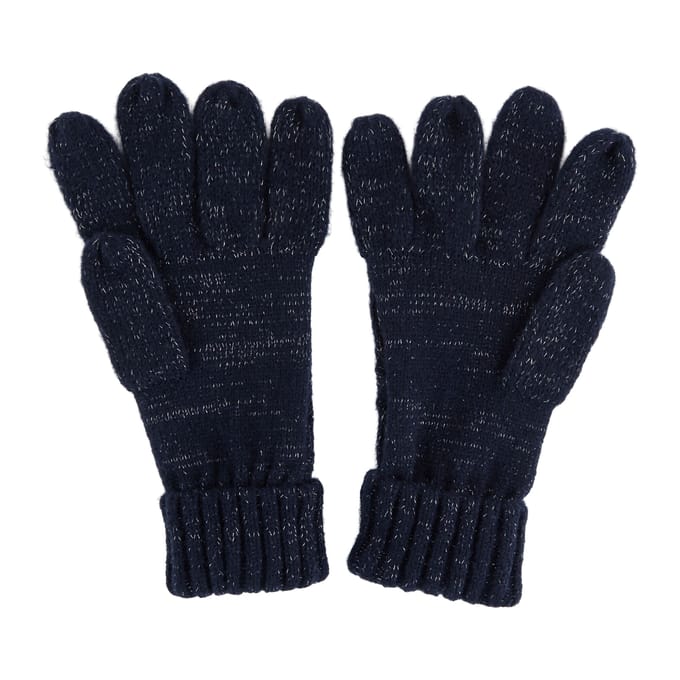 Regatta Dames/dames Winterhandschoenen (Marine)