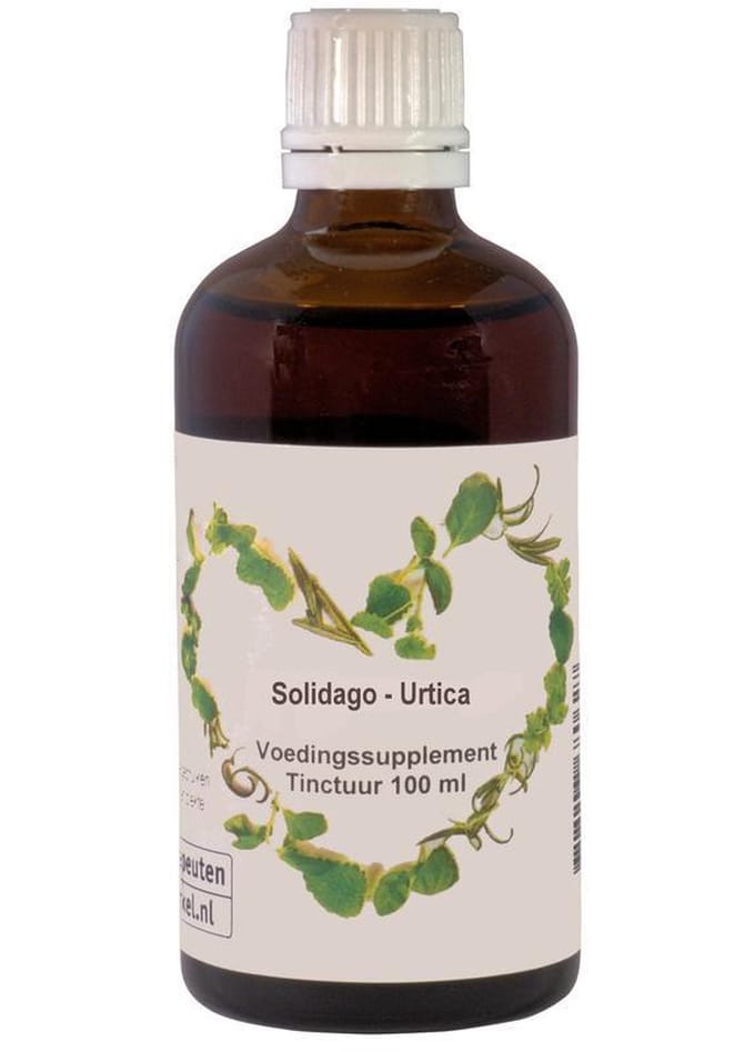 Solidago Urtica /Tw