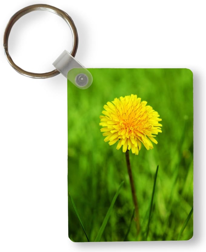 Sleutelhanger - Gras - Paardenbloem - Bloei - Uitdeelcadeautjes - Plastic
