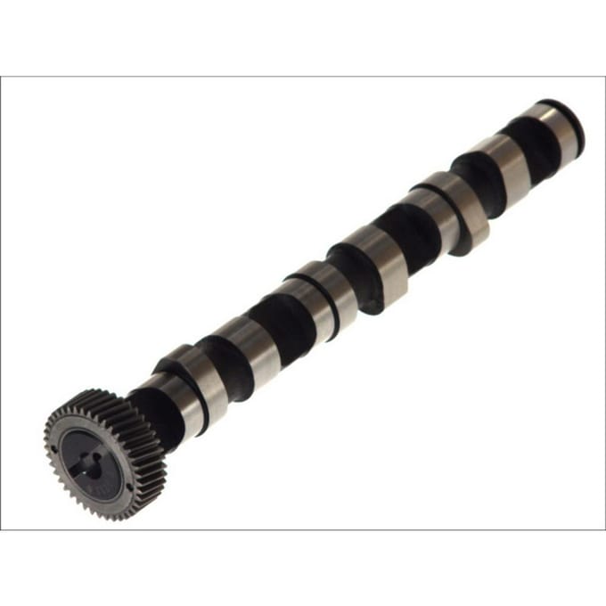 Nokkenas  AE CAM702