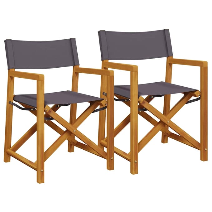 vidaXL - Regisseursstoelen - 2 - st - inklapbaar - stof - donkergrijs