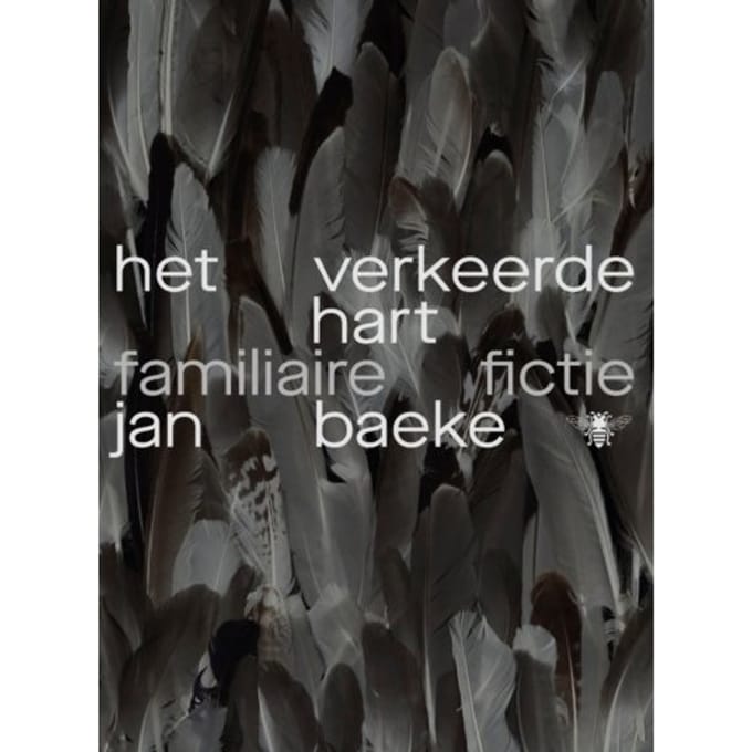 Het Verkeerde Hart - Jan Baeke
