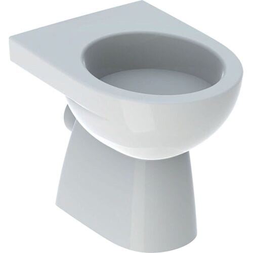 Geberit Renova pedestal WC washdown, horizontal outlet, partially closed form 500.810.01.2