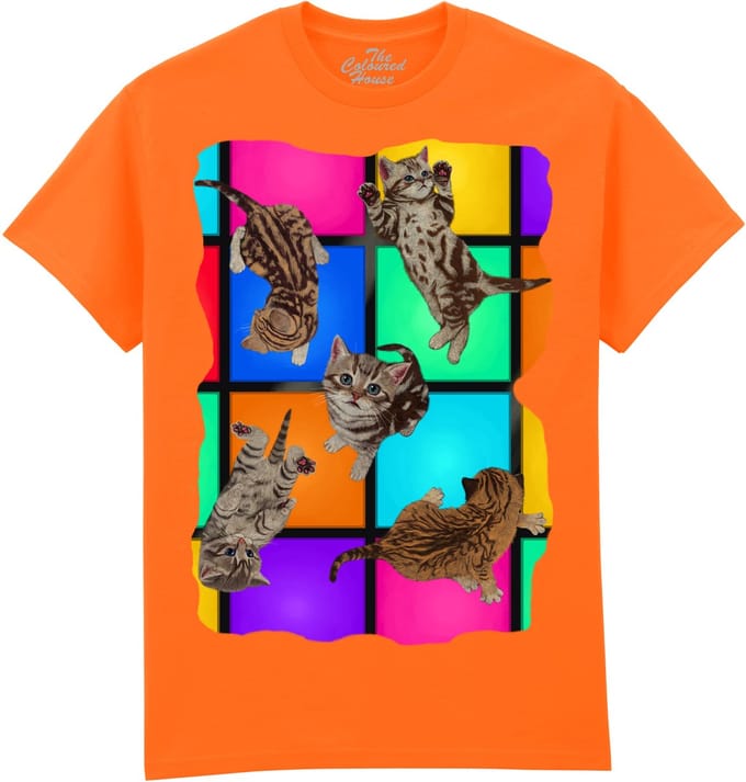 Disco Kittens The Coloured House T-shirt M