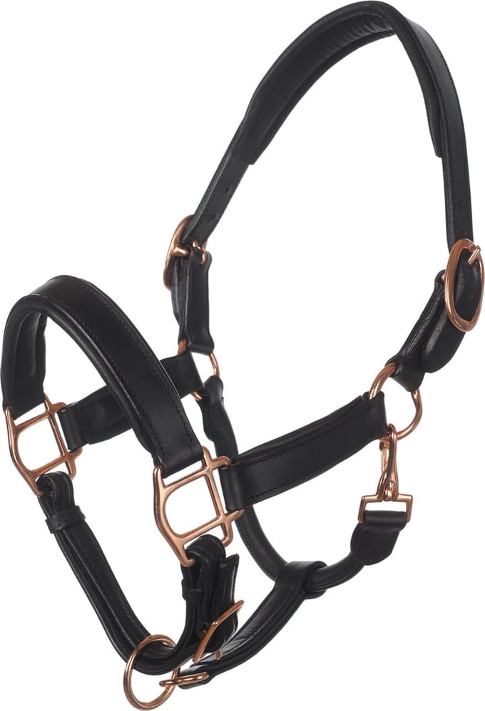 MHS Leren Halster Exclusive Mini Zwart / Rose