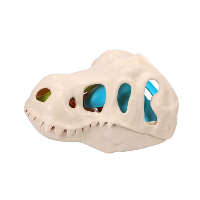 Strandset dino
