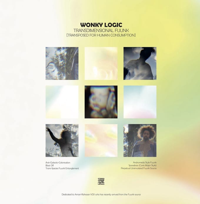 Wonky Logic - Transdimensional Fuunk (LP)