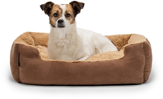 lionto zacht Hondenbed, omkeerbaar kussen & antislip bodem 60x48 cm bruin/beige