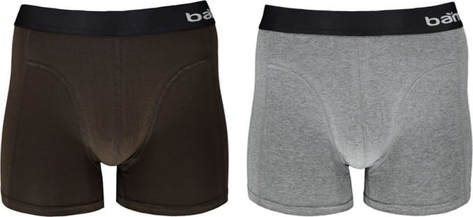 Apollo Boxershorts Basic Heren Viscose Grijs/bruin 2 Stuks Maat M