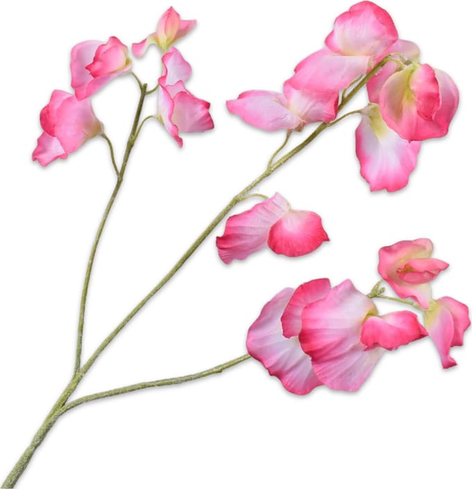 Silk-ka - Kunsttak - lathyrus - creme - H66 cm - 2 stuks