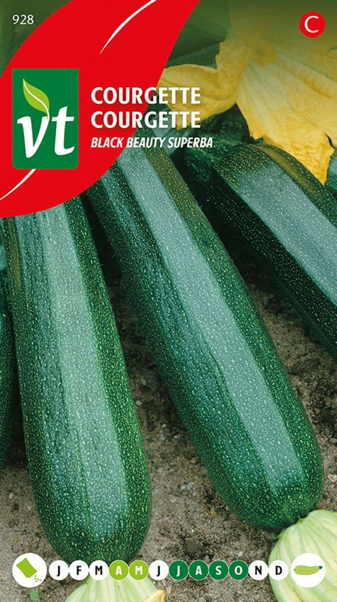 Courgette 'Black Beauty Superba' Zaden - Rijke oogst van glanzend donkergroene courgettes