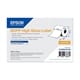 Epson BOPP - continuous labels - 4 roll(s) - Roll (20.3 cm x 68 m)