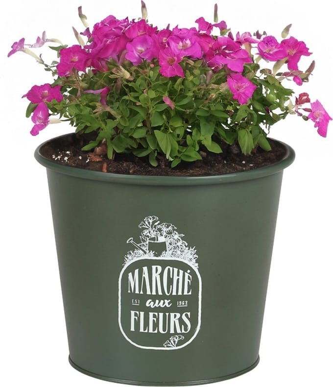 Sunnydays /plantenpot/bloempot - zink - legergroen - D19 x H16 cm