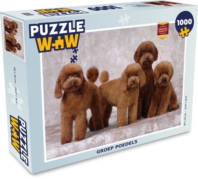 Puzzel Groep poedels - Legpuzzel - Puzzel 1000 stukjes volwassenen