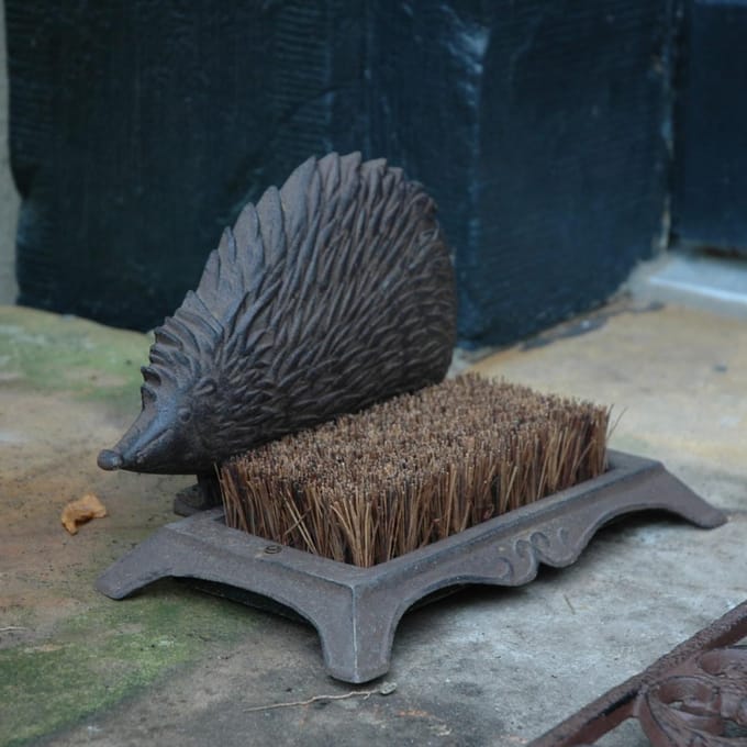 Brosse à Chaussures Hérisson