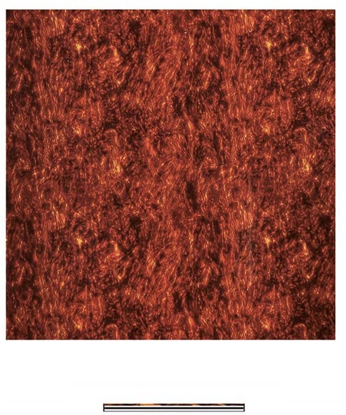 Boston PG-433-T pickguard material, 4 ply, 30x29cm, tortoise