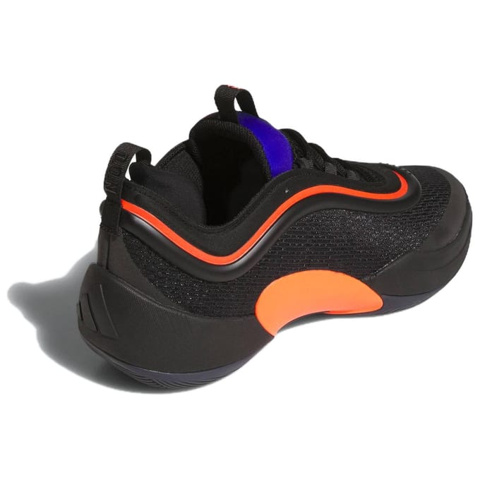 Basketbalschoenen adidas D.O.N. Issue 5