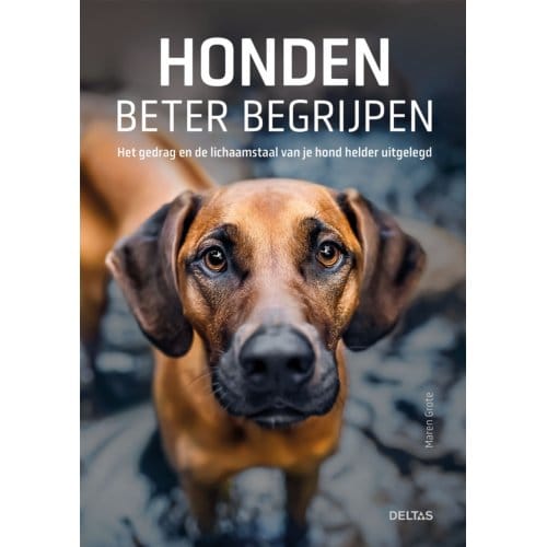 Honden Beter Begrijpen