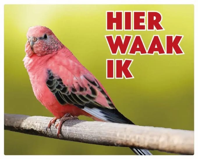 Boerkes Parkiet Waakbord - Hier Waak Ik