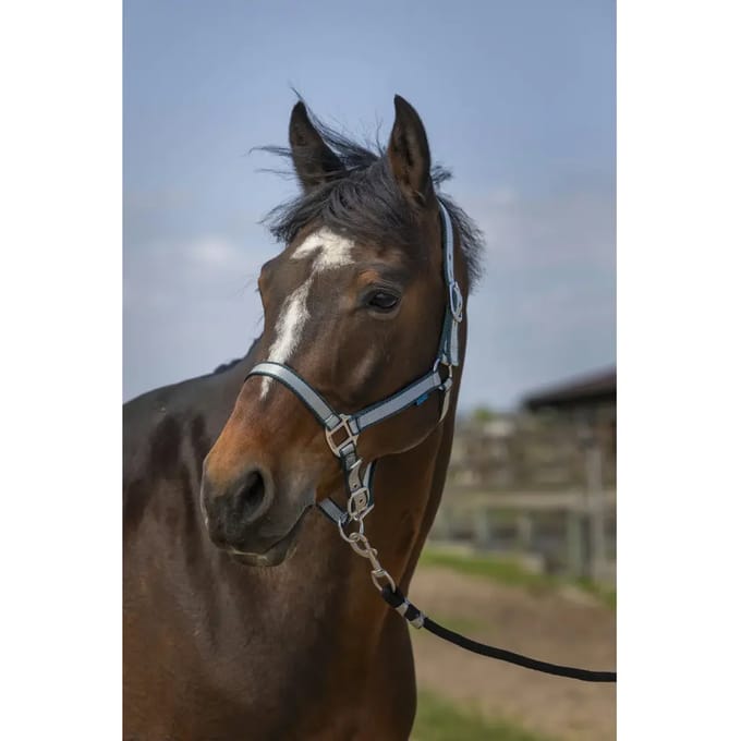 Zacht nylon halster voor paarden Norton