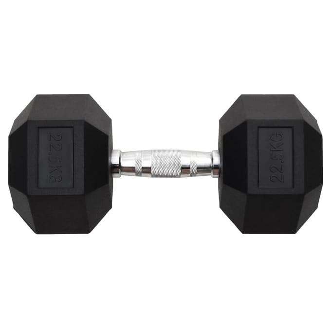 vidaXL - Halters - 22,5 - kg - gietijzer